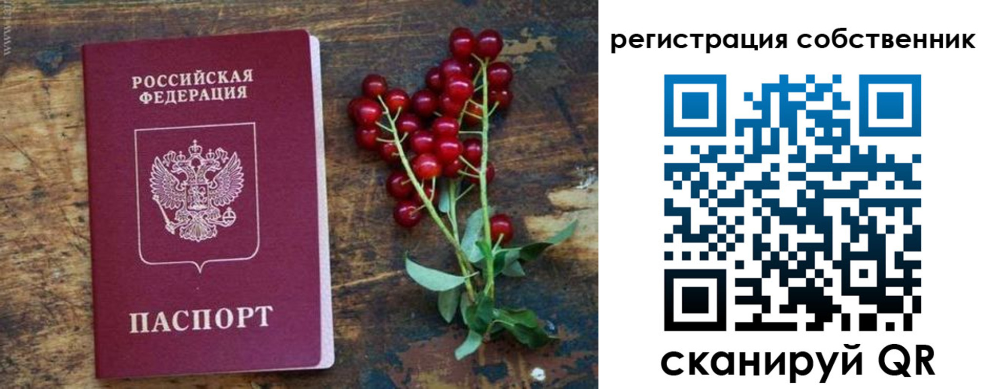 регистрация для дет. сада в ЕАО